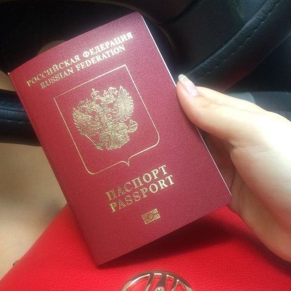 прописка в Сафоново